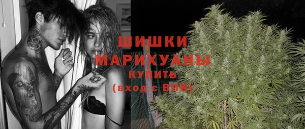 2c-b Бородино