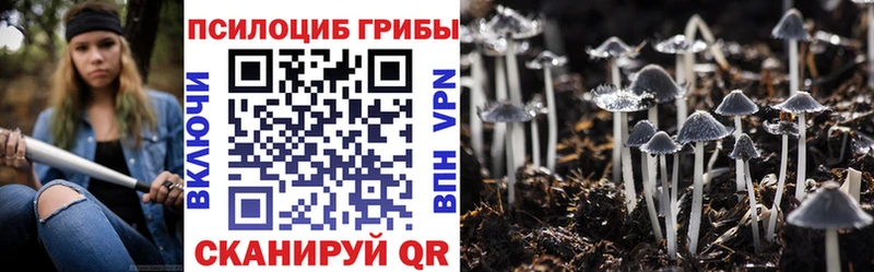 Псилоцибиновые грибы Psilocybine cubensis  Новый Оскол 